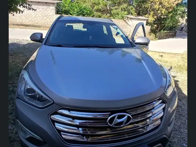 Hyundai Maxcruz, 2014