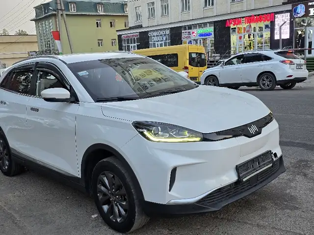 Weltmeister EX5, 2019