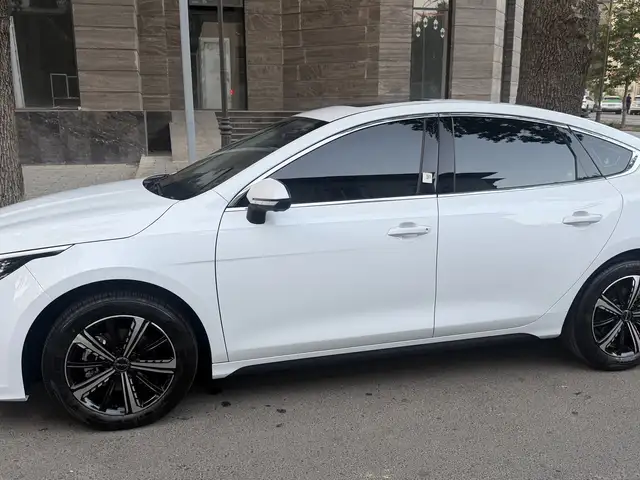 BYD Chazor, 2025